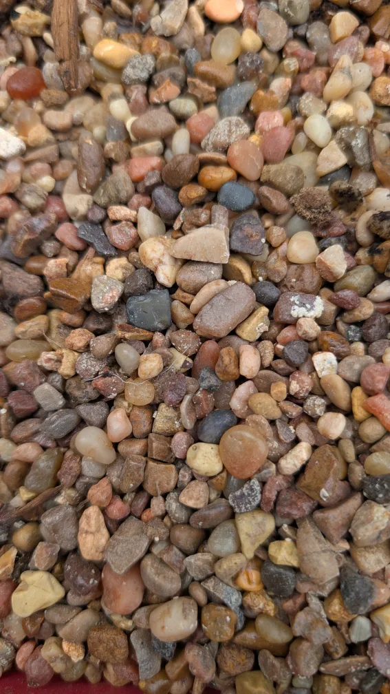 Free aquarium gravel
