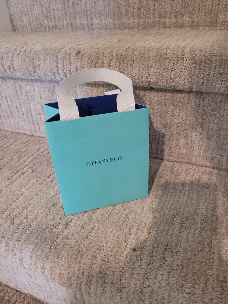 Tiffany & Co. Gift Bag - Empty thumbnail