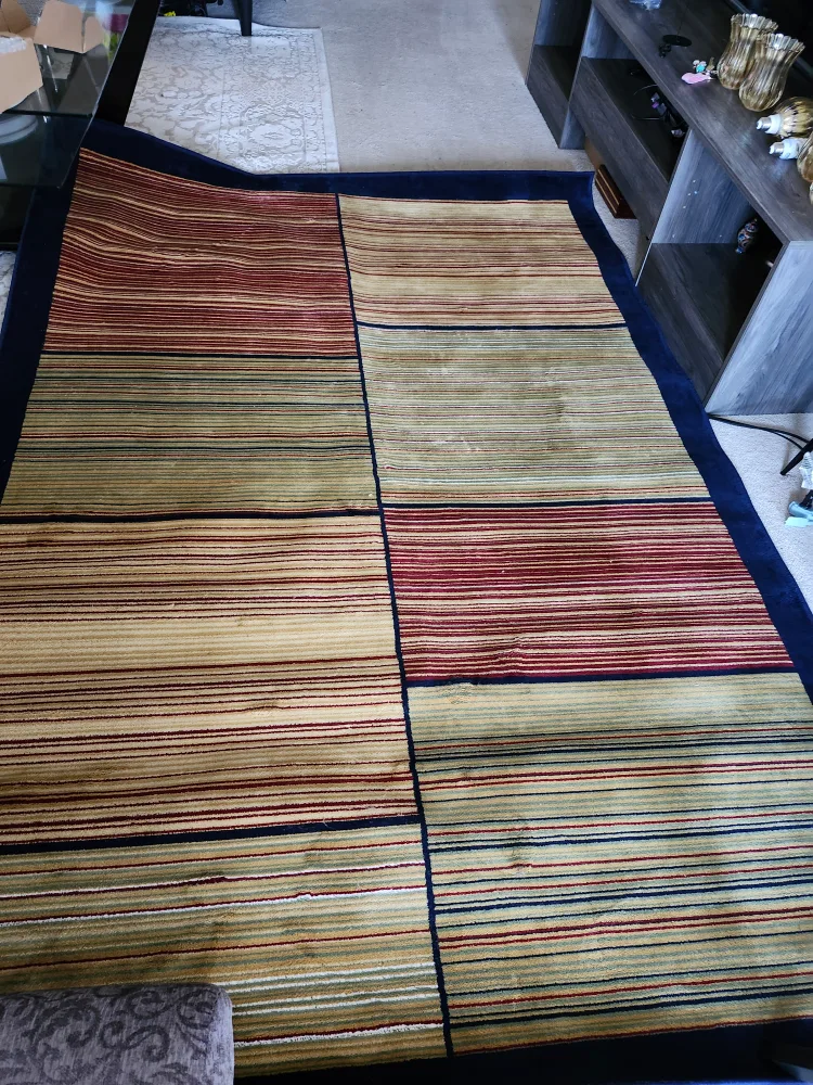 Large Area Rug image indicator(4)