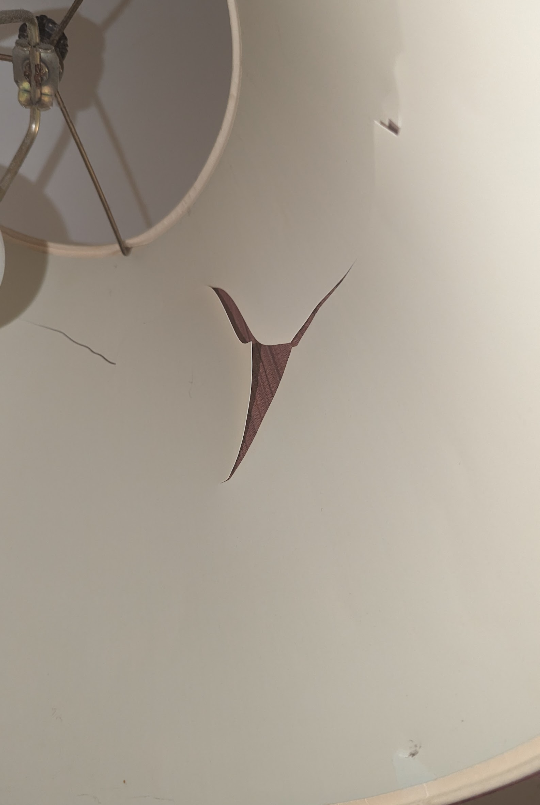 Floor Lamp with Burgundy Shade - photo 3