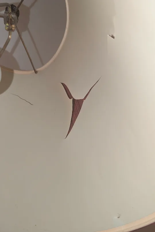 Floor Lamp with Burgundy Shade image indicator(3)