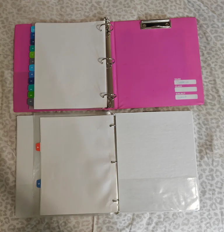 Hello Kitty & Jurassic Park Folder and Binder Set 💖🧡 image indicator(5)