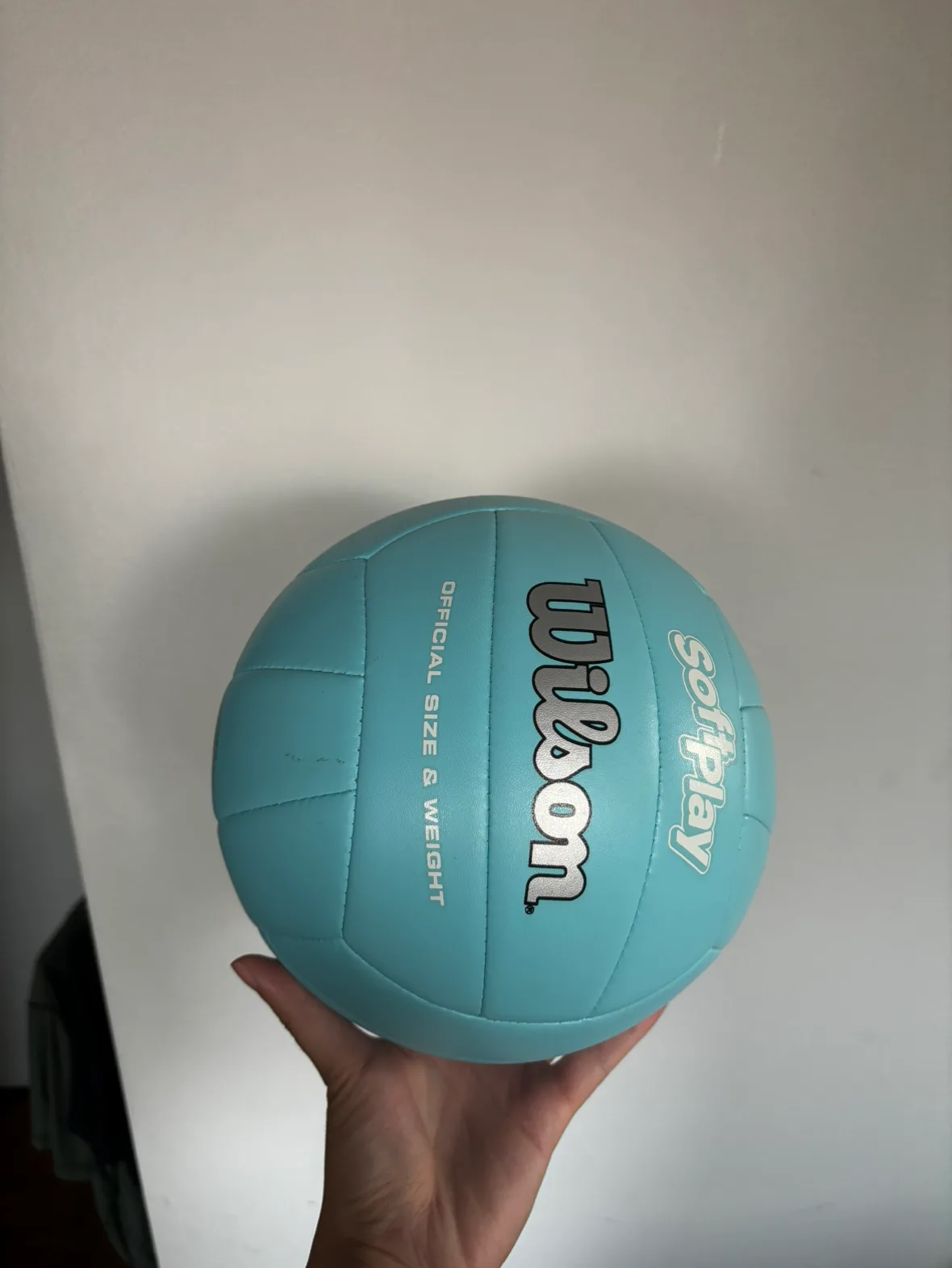 Volleyball thumbnail