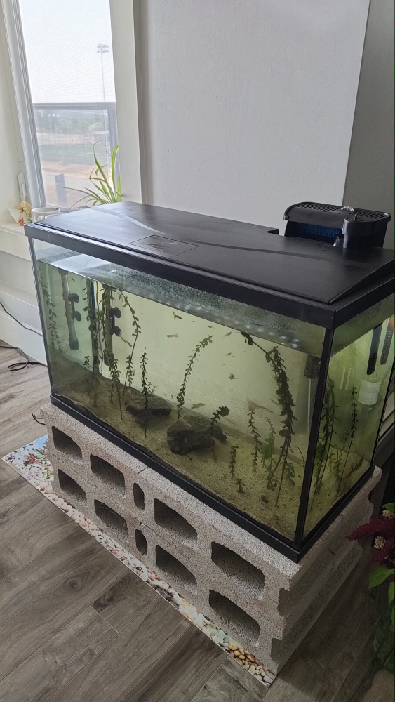 29 Gallon Fish Tank Aquarium