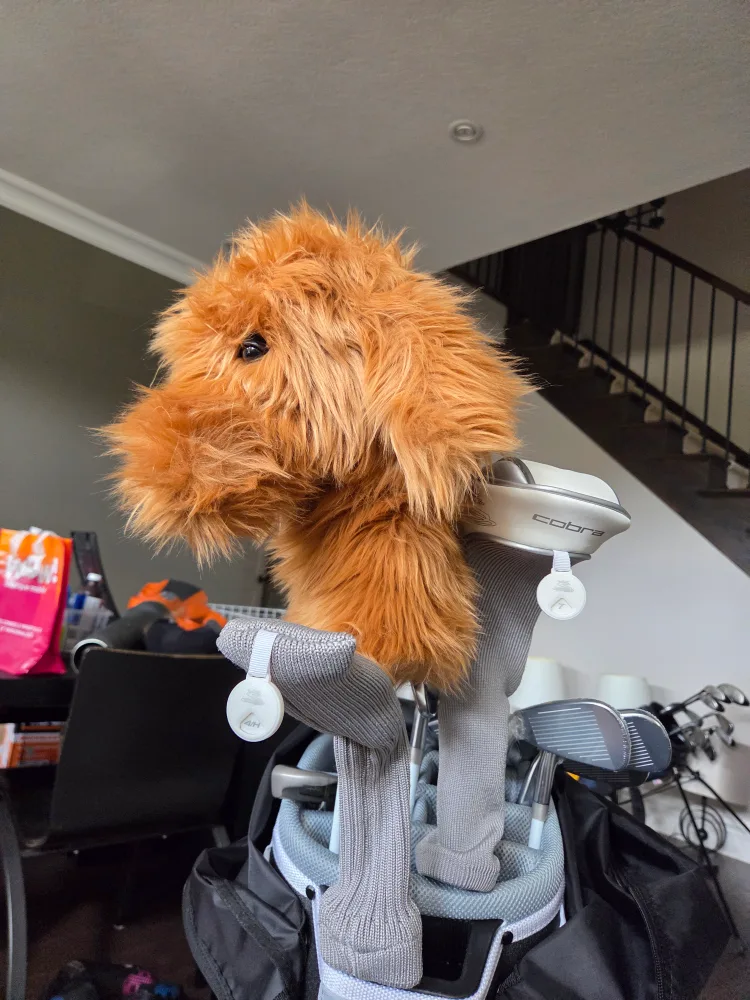 Doodle Driver Golf Headcover image indicator(4)