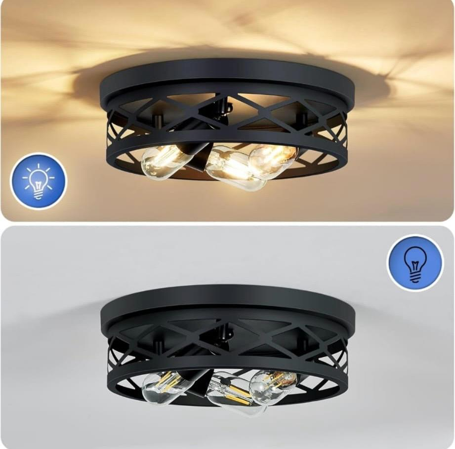 Black Metal Cage Flush Mount Ceiling Light - photo 4