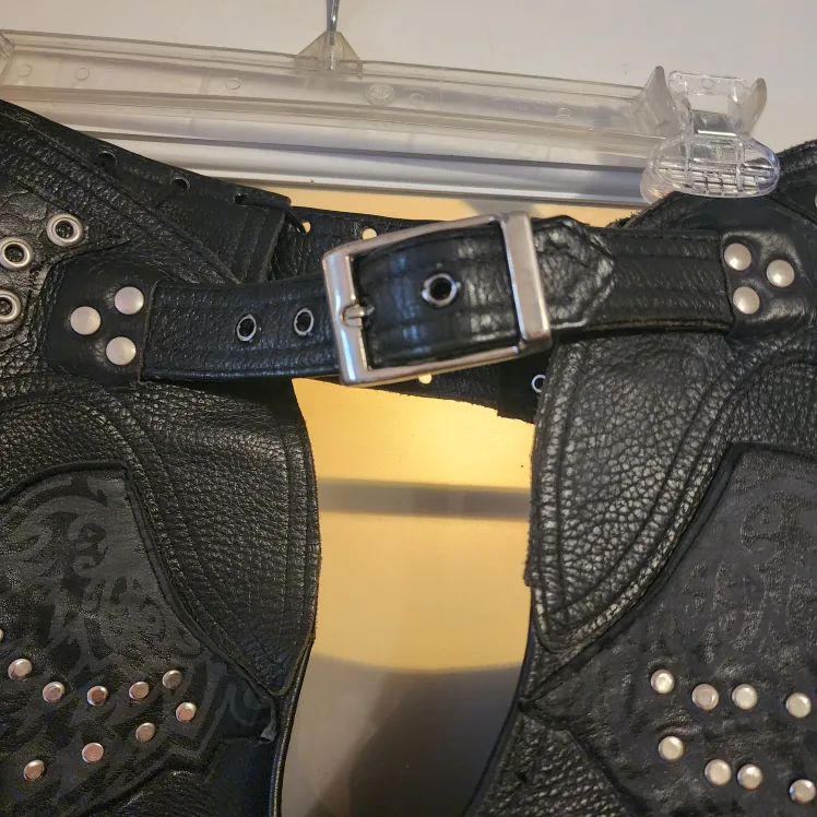 Leather Motorcycle Chaps image indicator(2)