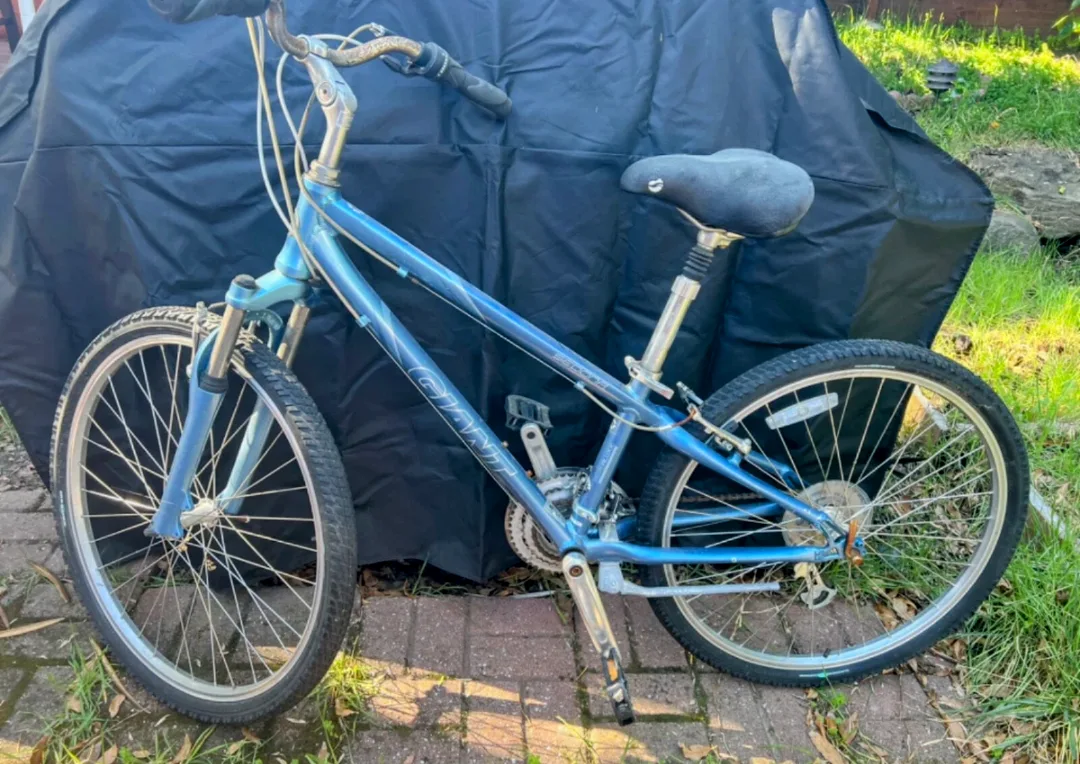 Giant Sedona LX Mountain Bike - Blue thumbnail
