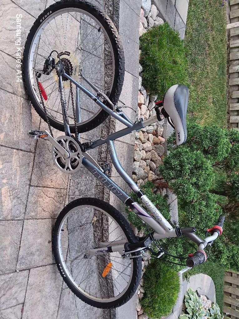 Infinity Lady's Mountain Bike - Shimano Equipped thumbnail