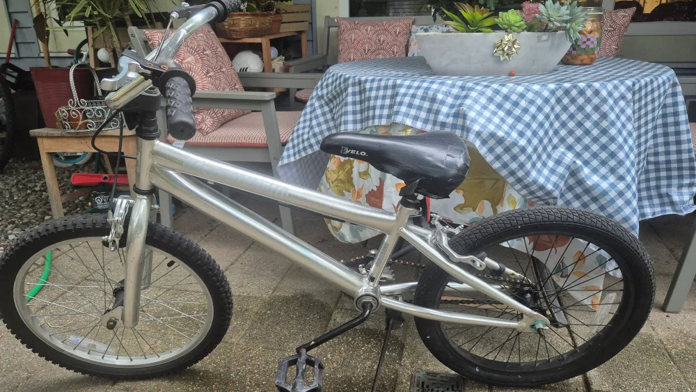 Silver Bike image indicator(9)