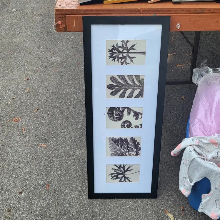 Framed Botanical Print Wall Art image indicator(2)