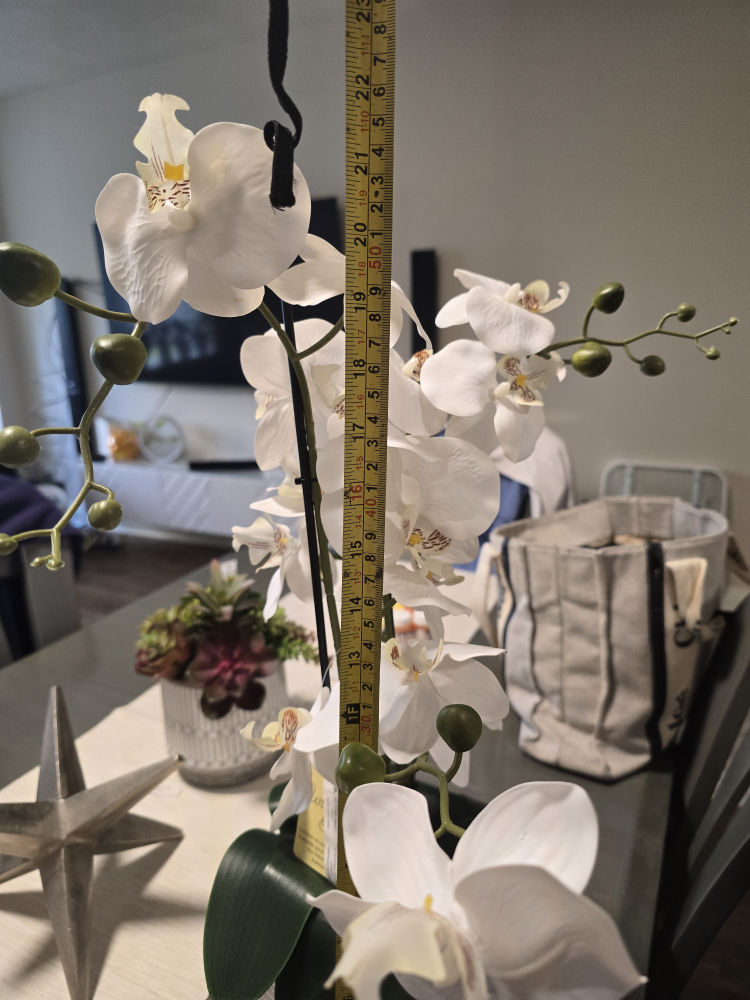 White Artificial Orchid Plant, 22" Tall