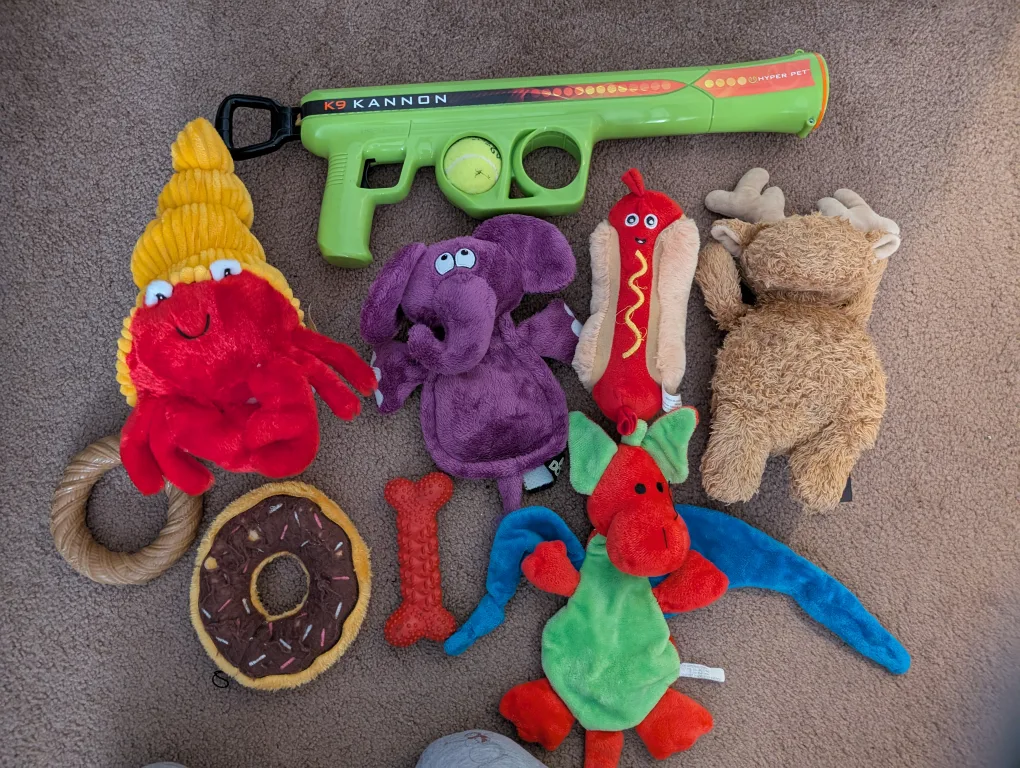 Dog Toys - Plush, Squeaky, and More! thumbnail