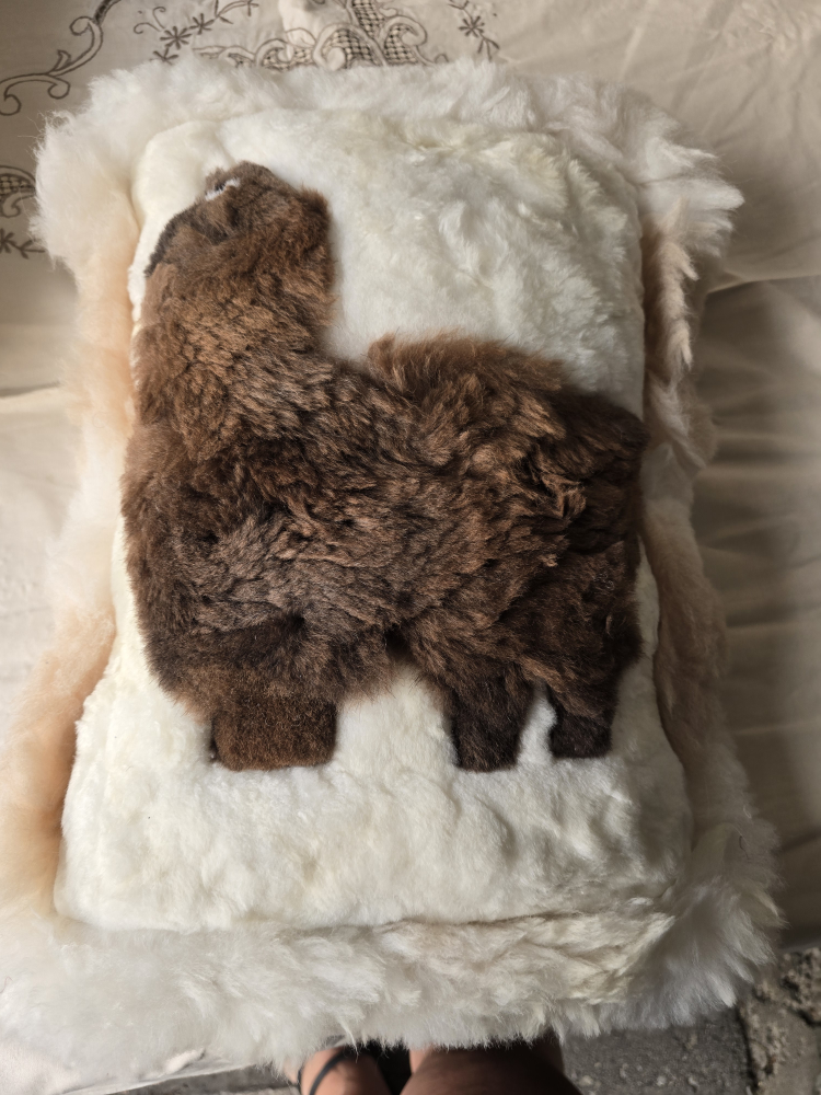 Alpaca Fur Throw Pillows - photo 3