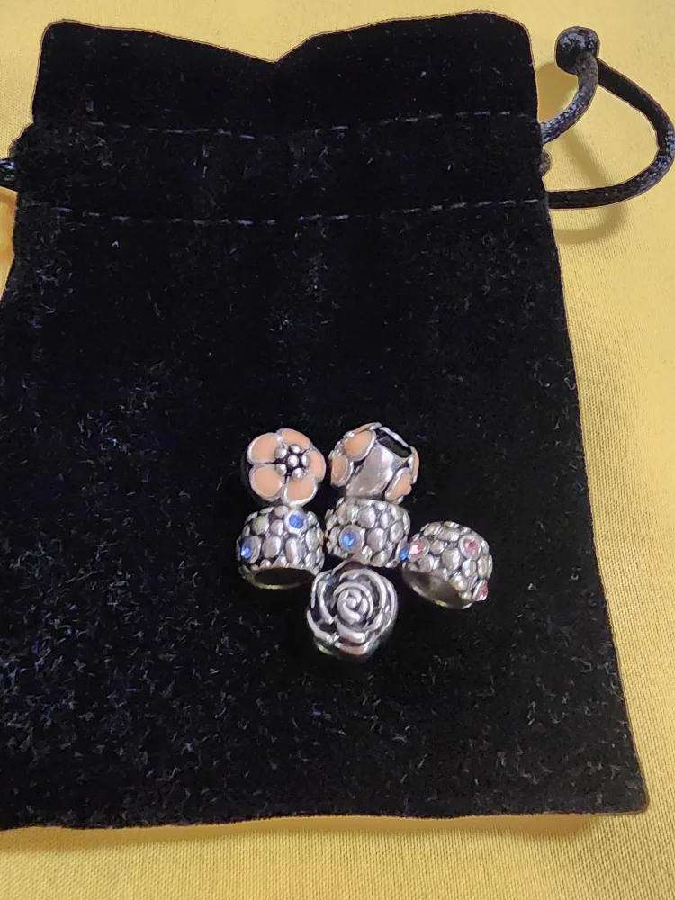 Silver Plated Charms - Fits Pandora thumbnail