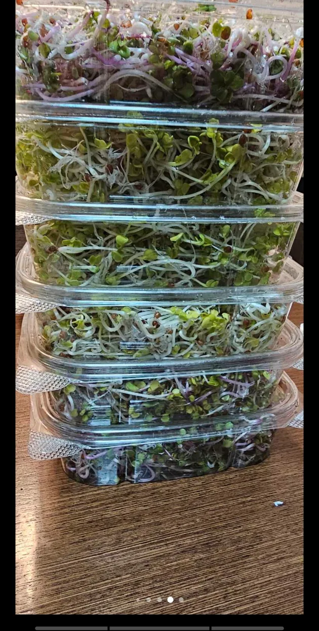 Sprout machine image indicator(3)