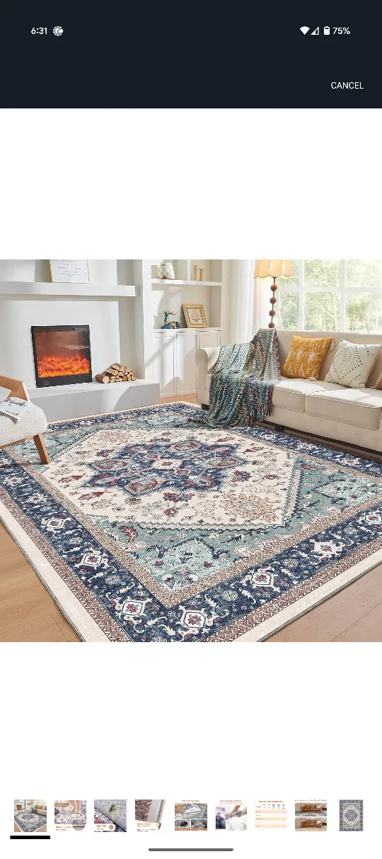 Area Rug 9x12 thumbnail