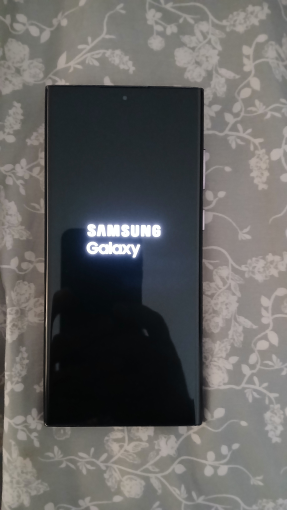 Samsung Galaxy S22 Ultra