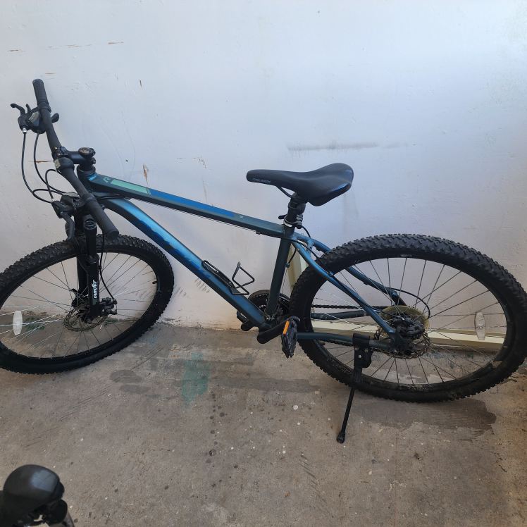 Raleigh Mountain Bike