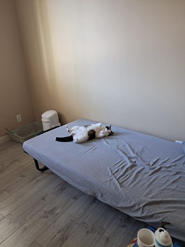 free mattress, duvet and pillow only today!!!! - photo 2