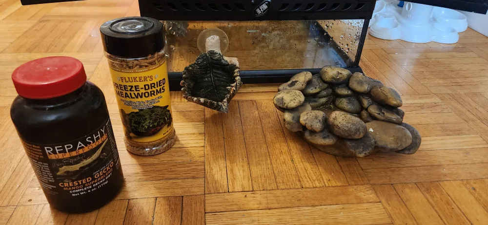 Exo Terra Mini Terrarium 12 x 12 x 18 with accessories image indicator(5)