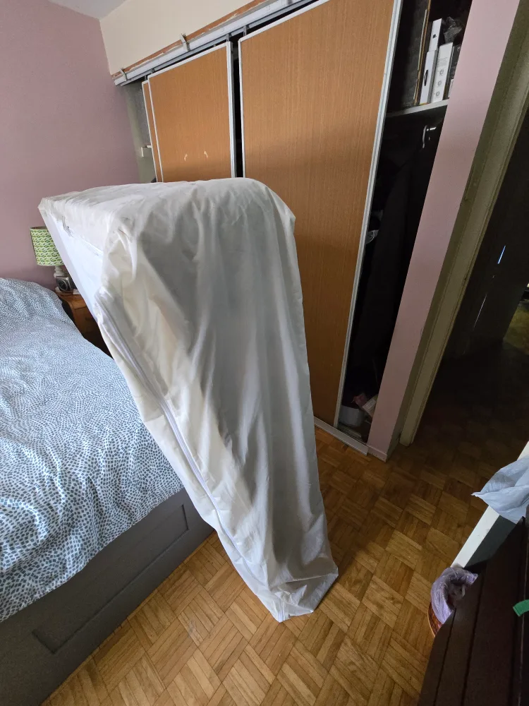 Box Spring Double Twin Free - good condition - with cover image indicator(3)