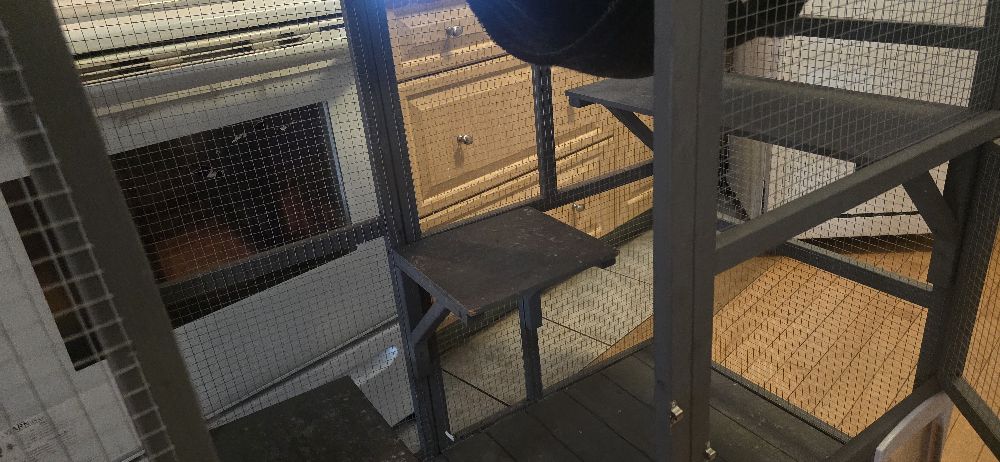Large Indoor Cat Cage with Wheels - photo 3