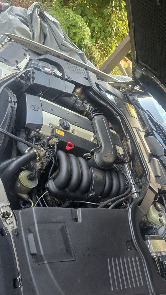Mercedes-Benz S 320 Car - photo 3
