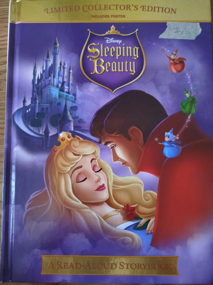 Disney Sleeping Beauty: A Read-Aloud Storybook thumbnail