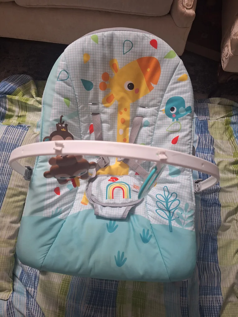 Baby Bouncer Seat/ Rocking chair image indicator(2)