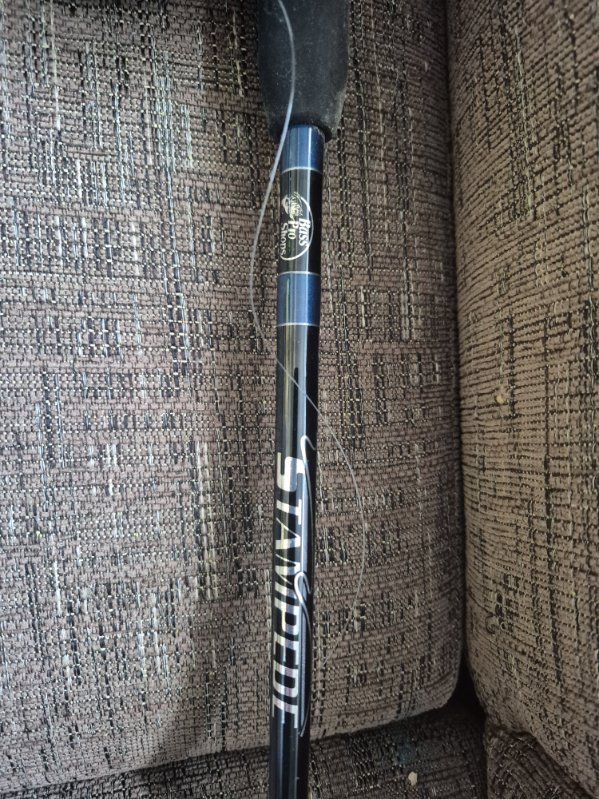 Bass Pro Shops Stampede Fishing Rod & Reel Combo - photo 2