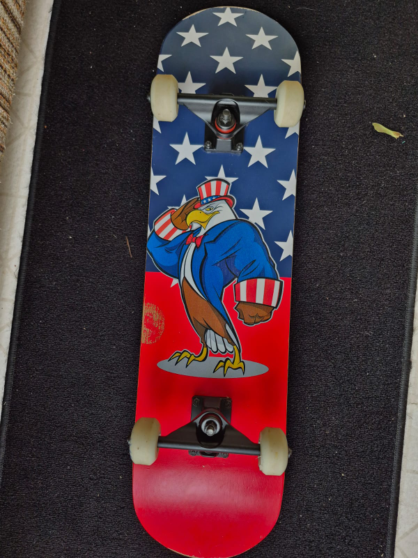 SANQING Skateboard - photo 2