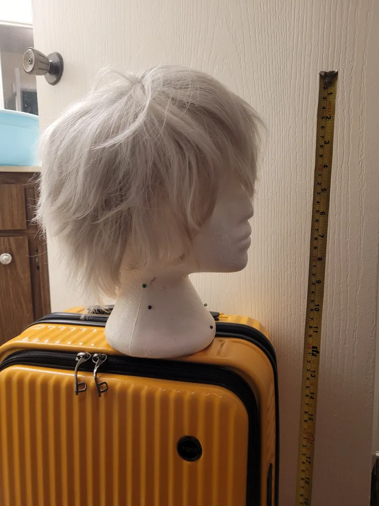 Silver Cosplay Wig image indicator(2)