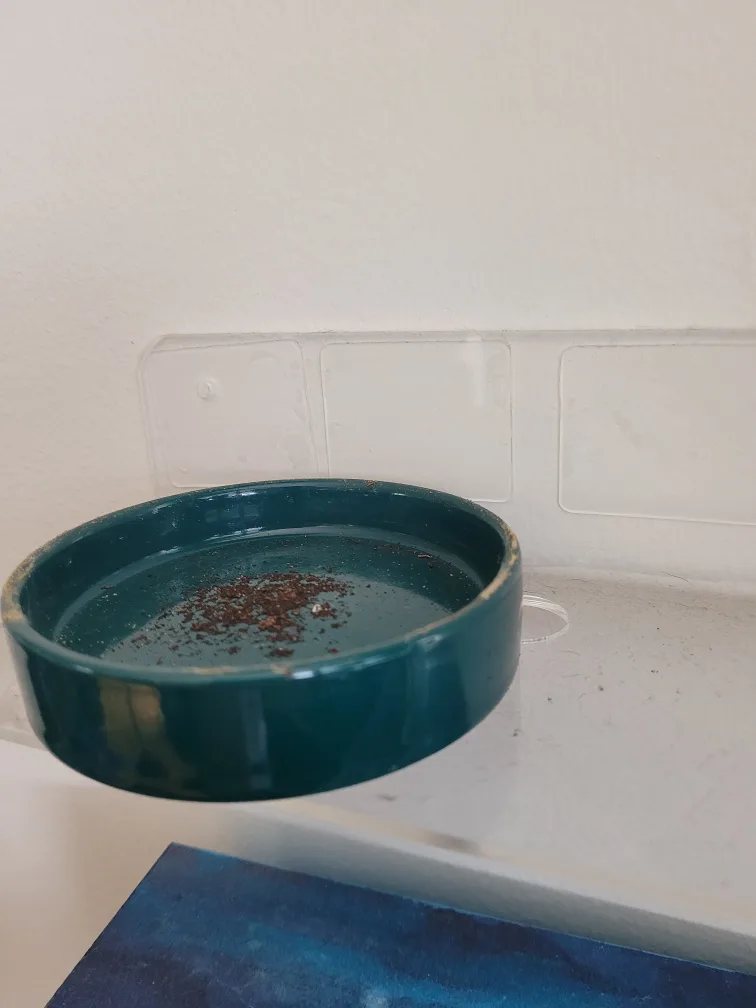 Green Ceramic Planter with Hollow Out Design image indicator(6)