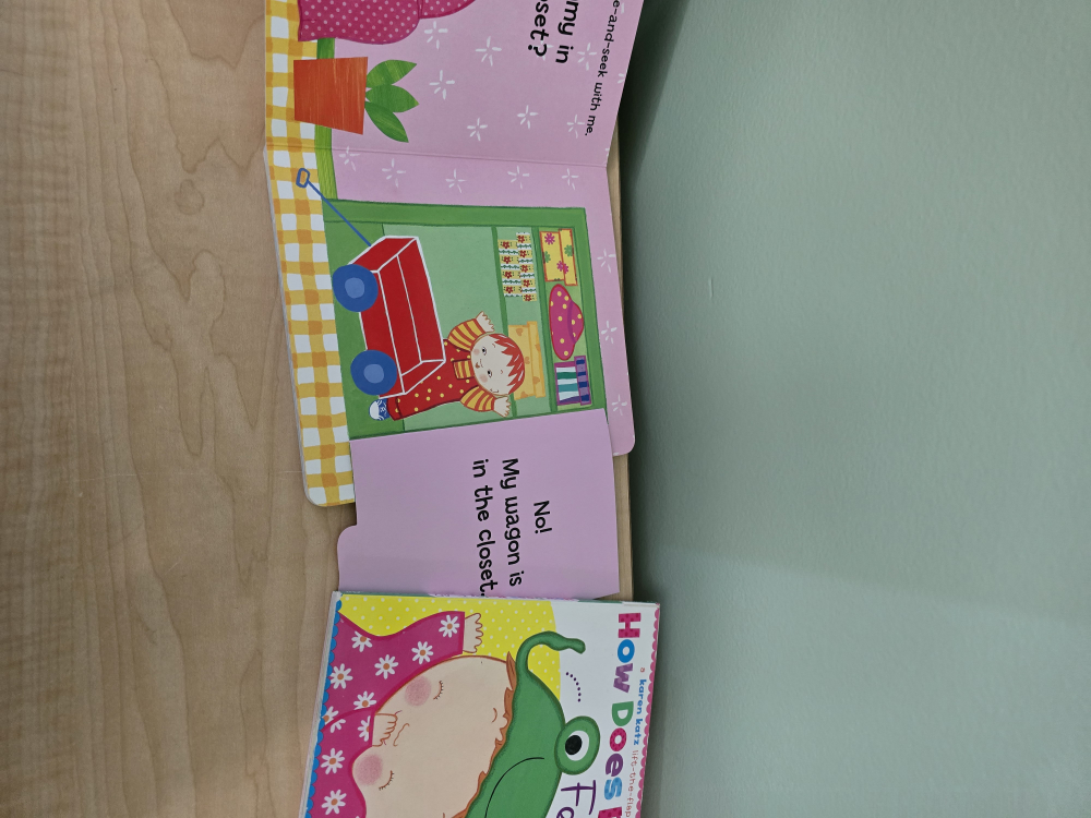 Lift-the-Flap Baby Books - Set of 2 - photo 4