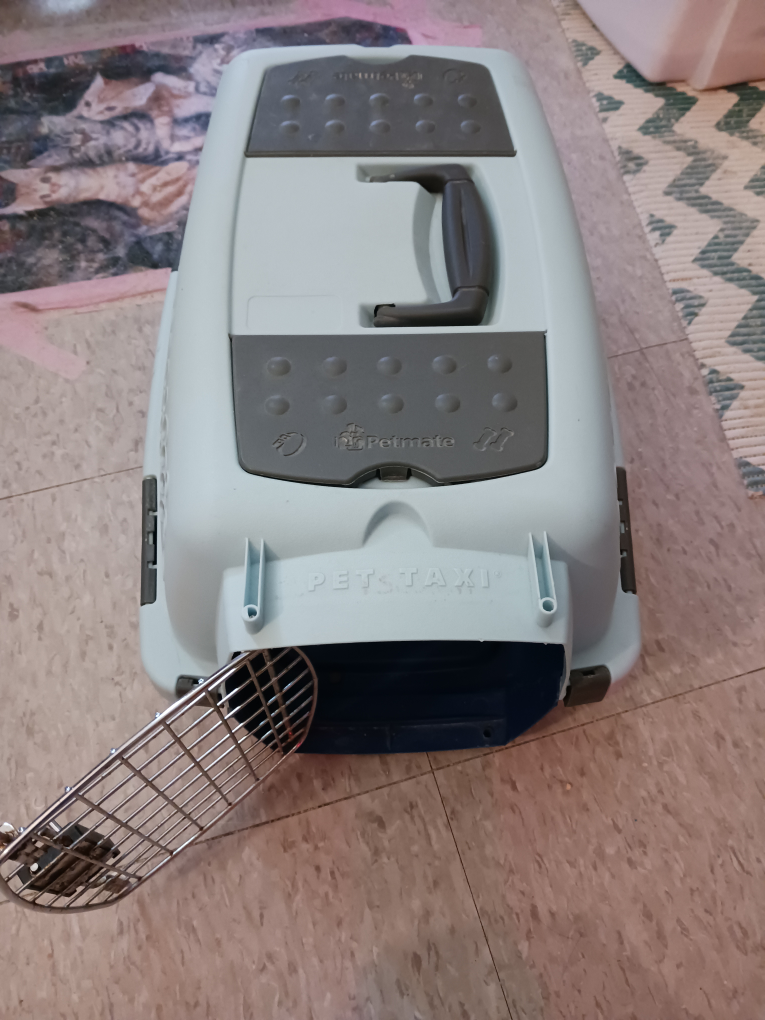 small pet carrier