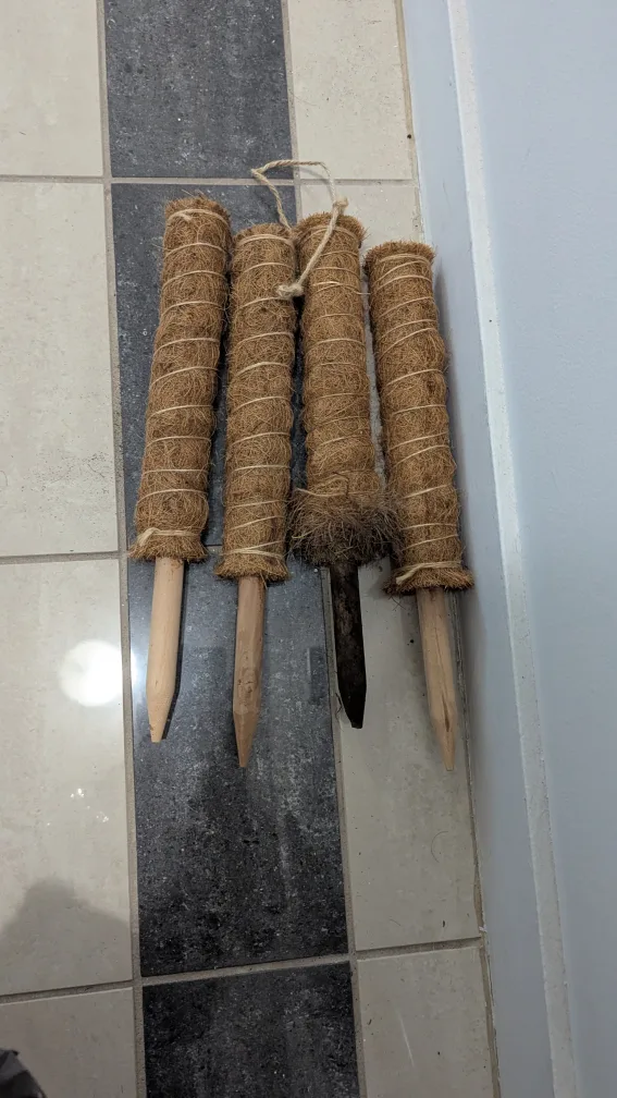 4x Coco coir moss pole image indicator(2)