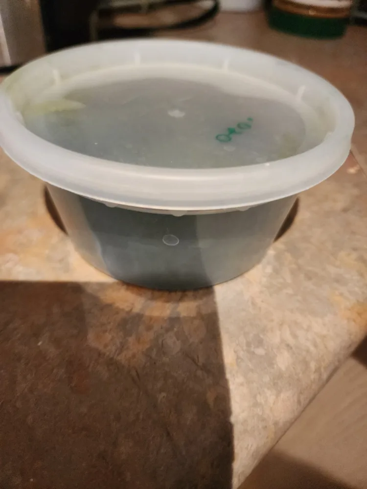Green Spirulina from Bulk Barn thumbnail