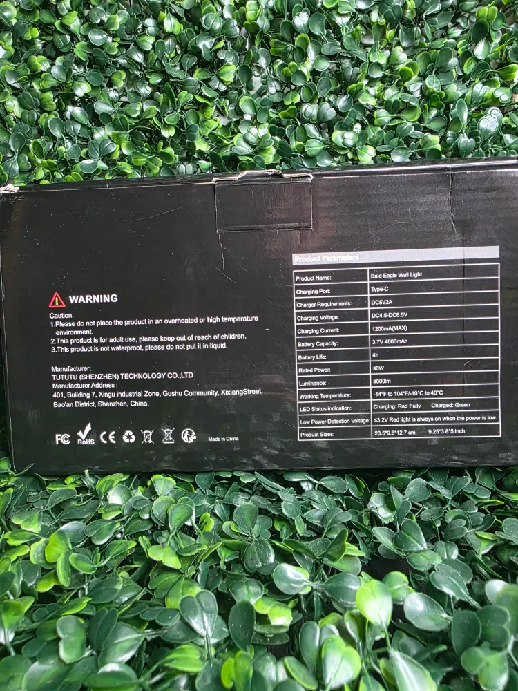 Bald Eagle Wall Light BK168 image indicator(3)