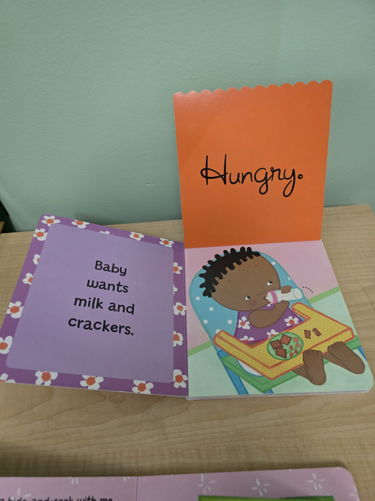 Lift-the-Flap Baby Books - Set of 2 - photo 3
