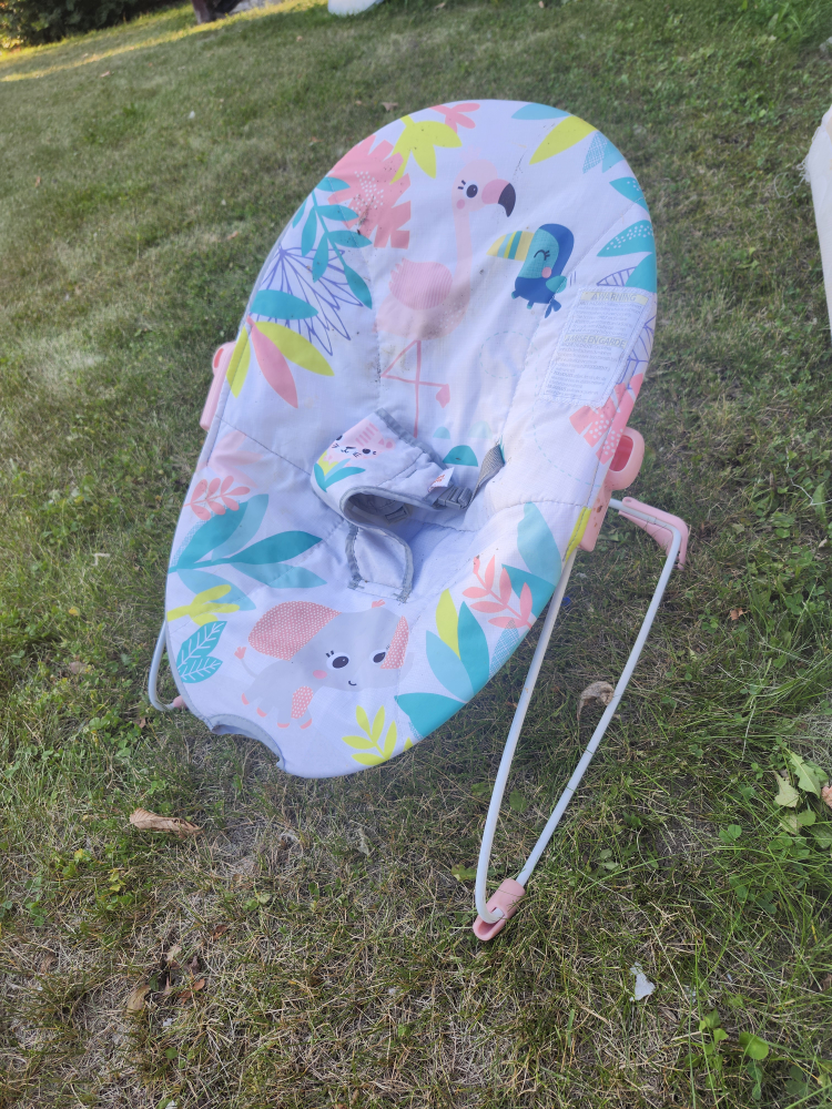 Infantino Bouncer Seat
