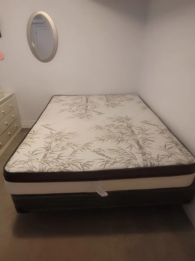 Queen Bed frame with mattress image indicator(2)