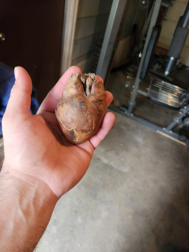burl wood