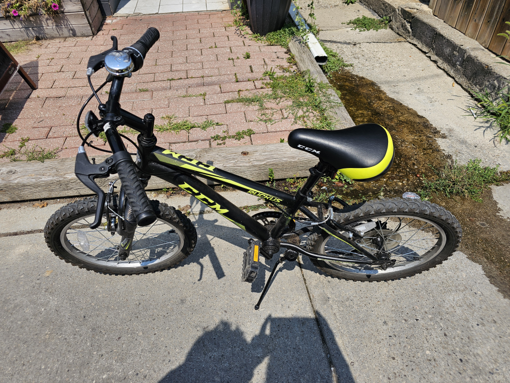 CCM Ruckus Kids' Bike - Black & Green - photo 3