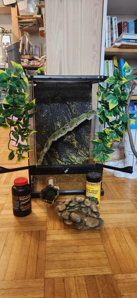 Exo Terra Mini Terrarium 12 x 12 x 18 with accessories image indicator(2)