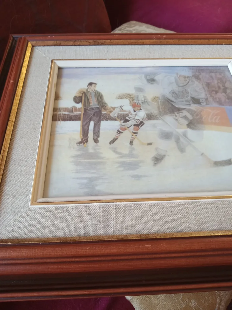 Wayne Gretzky Edmonton Oilers Framed Pictures image indicator(3)