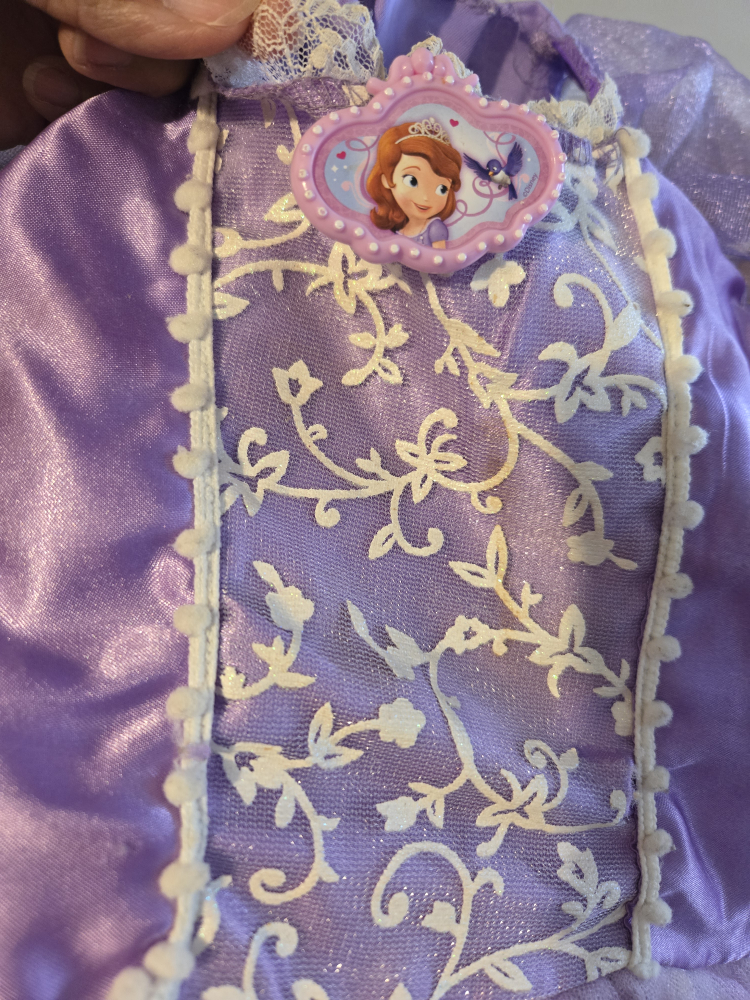 Sofia the First Dress - Size 2-3 - photo 2