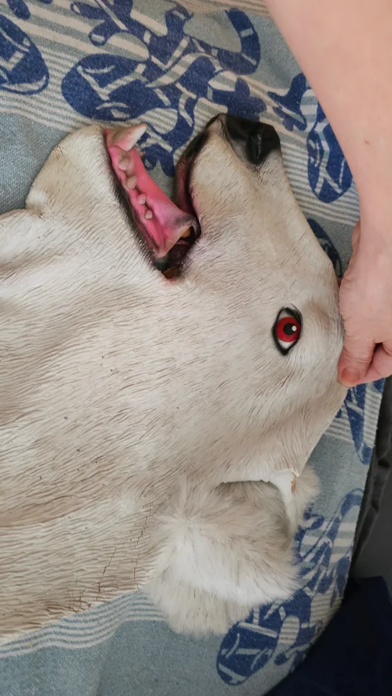 halloween white rubber bear mask thumbnail