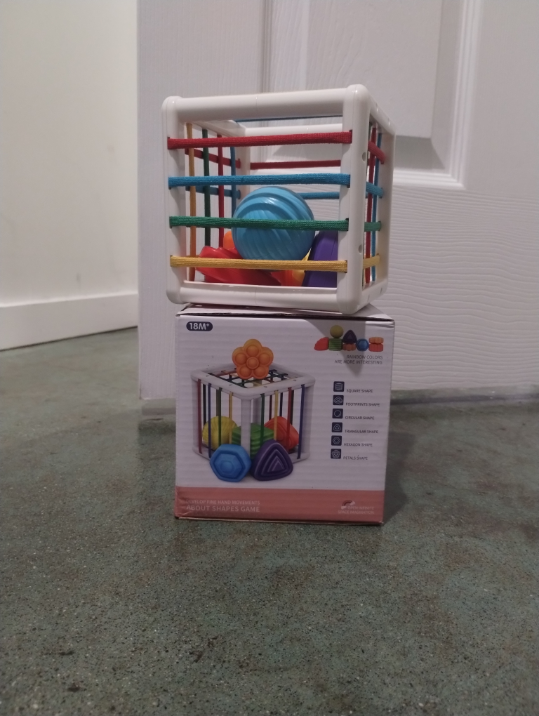 Shape Sorter Toy