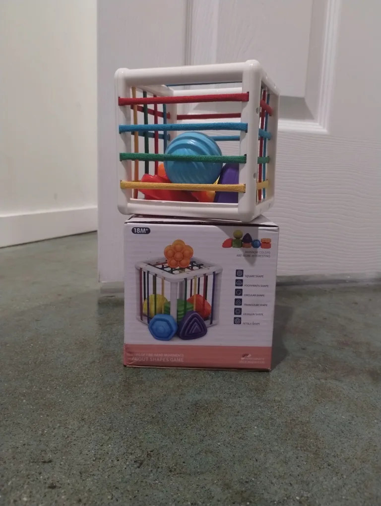 Shape Sorter Toy thumbnail